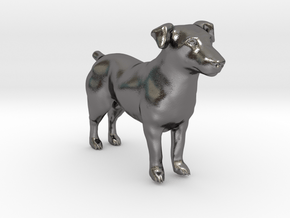 Brown Jack Russell Terrier in Polished Nickel Steel