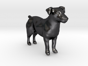Brown Jack Russell Terrier in Polished and Bronzed Black Steel