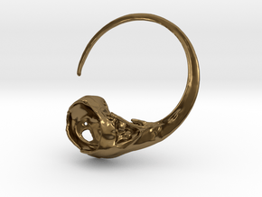 Hummingbird Skull Ring in Polished Bronze
