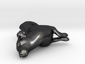 Laying Jack Russell Terrier 3 in Polished and Bronzed Black Steel