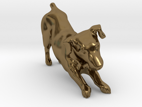 Stretching Jack Russell Terrier in Polished Bronze