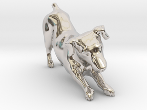 Stretching Jack Russell Terrier in Rhodium Plated Brass
