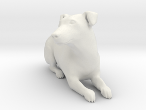 Laying Jack Russell Terrier 1 in White Natural Versatile Plastic