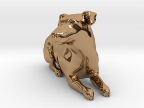 Laying Jack Russell Terrier 1 in Polished Brass