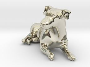 Laying Jack Russell Terrier 2 in 14k White Gold