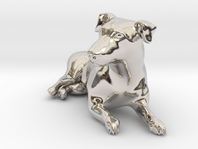 Laying Jack Russell Terrier 2 in Rhodium Plated Brass