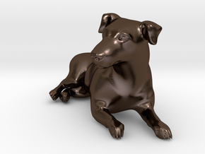 Laying Jack Russell Terrier 2 in Polished Bronze Steel
