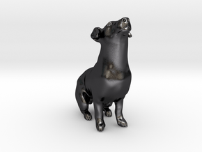 Howling Jack Russell Terrier in Polished and Bronzed Black Steel