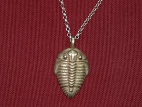 Trilobite Fossil Necklace in Polished Bronzed Silver Steel
