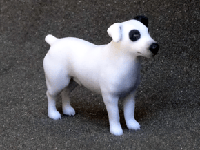 Black & White Jack Russell Terrier in Full Color Sandstone