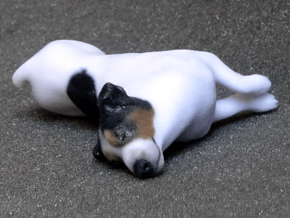 Laying Jack Russell Terrier 3 in Full Color Sandstone