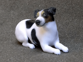 Laying Jack Russell Terrier 1 in Full Color Sandstone
