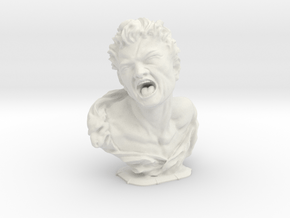 Bust Of Marsyas - Antiques in White Natural Versatile Plastic