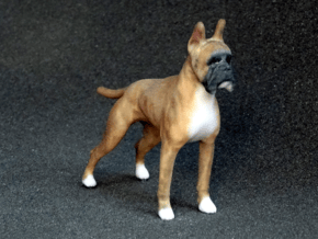 Red Fawn Boxer in Full Color Sandstone