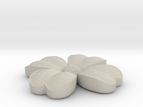 Flower coulomb in Natural Sandstone