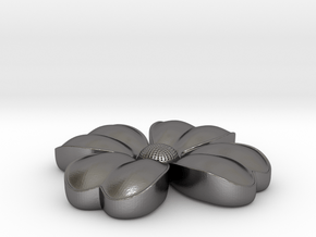 Flower coulomb in Polished Nickel Steel