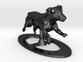 Running Jack Russell 1 in Polished and Bronzed Black Steel