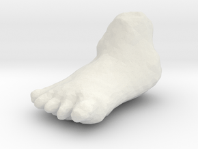 foot in White Natural Versatile Plastic