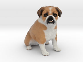 Custom Dog Figurine - Gomez in Full Color Sandstone