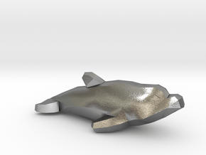 Dolphin in Natural Silver