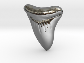 Sharktooth in Fine Detail Polished Silver