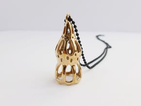 Dictyocysta pendant in Polished Bronze