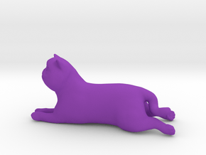 Laying Exotic Shorthair Cat in Purple Processed Versatile Plastic