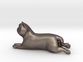 Laying Exotic Shorthair Cat in Polished Bronzed Silver Steel