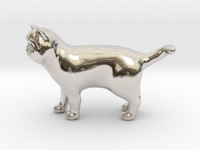 Standing Exotic Shorthair Cat in Rhodium Plated Brass