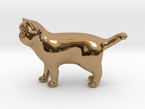 Standing Exotic Shorthair Cat in Polished Brass