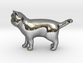 Standing Exotic Shorthair Cat in Fine Detail Polished Silver
