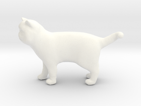 Standing Exotic Shorthair Cat in White Processed Versatile Plastic