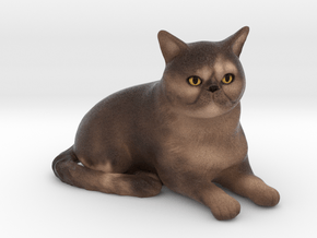 Custom Cat Figurine - Katie in Full Color Sandstone