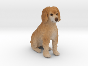 Custom Dog Figurine - Jena in Full Color Sandstone