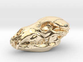 Bear Skull. 5cm in 14k Gold Plated Brass: Large