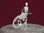 Ichthyocentaur skeleton