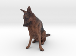 German Shepherd Dog