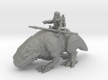 Sandtrooper on Dewback 1/72 25mm miniature model