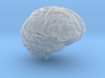 Brain 3D