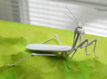 Articulated Mantis