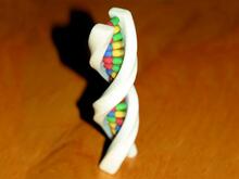 Desktop DNA - color 2 Thumbnail