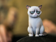 Grumpy Cat Thumbnail