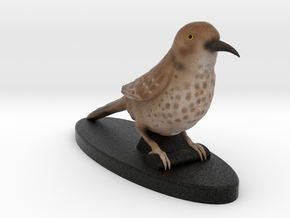 Custom Bird Figurine - Thrasher in Full Color Sandstone
