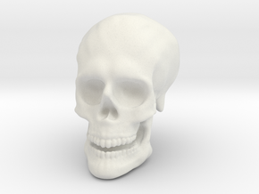 Solid Skull  in White Natural Versatile Plastic