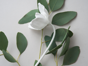 Poppy No. 3 in White Natural Versatile Plastic