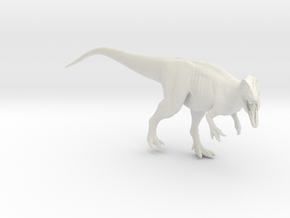 Dinosaur Carcharodontosaurus 1:40 V2  in White Natural Versatile Plastic