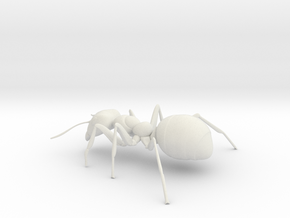 ANT-7inch in White Natural Versatile Plastic