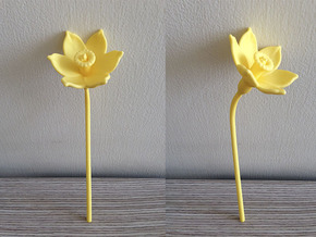 Narcissus Flower in Yellow Processed Versatile Plastic
