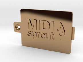 MIDI Sprout Battery Door 002a in Polished Brass