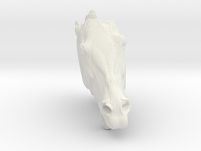 Cheval selene in White Natural Versatile Plastic: Medium